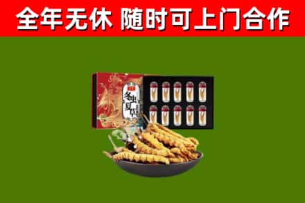 宽城区回收冬虫夏草价格